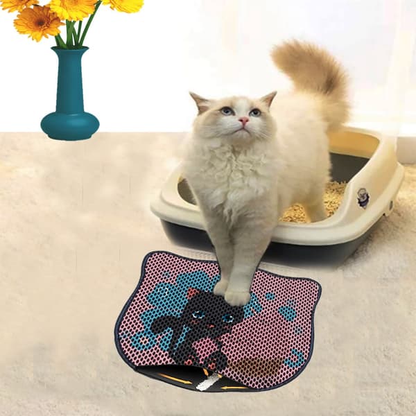 Kattebakkemåtte Kdkafa0061