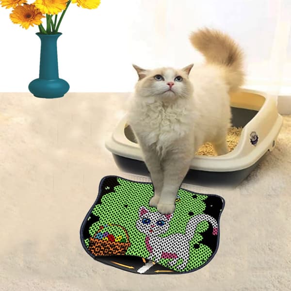 Kattebakkemåtte Kdkafa0056