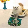 Miniatyrbild 1 av 2: Kattsand Mat Kdkafa0090