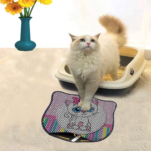 Kattebakkemåtte Kdkafa0068