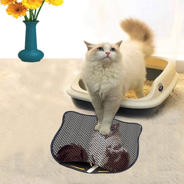 Kattebakkemåtte Kdkafa0092