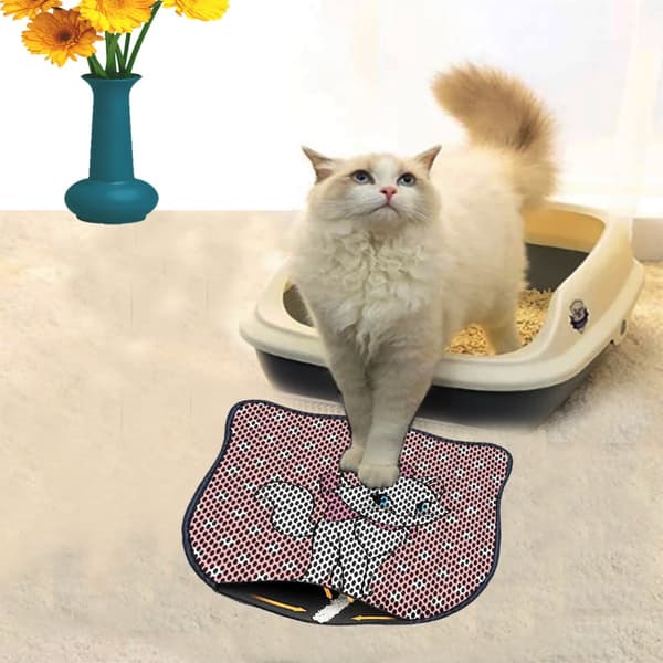 Kattebakkemåtte Kdkafa0150