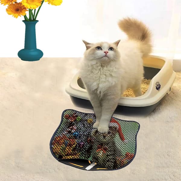 Kattebakkemåtte Kdkafa0167