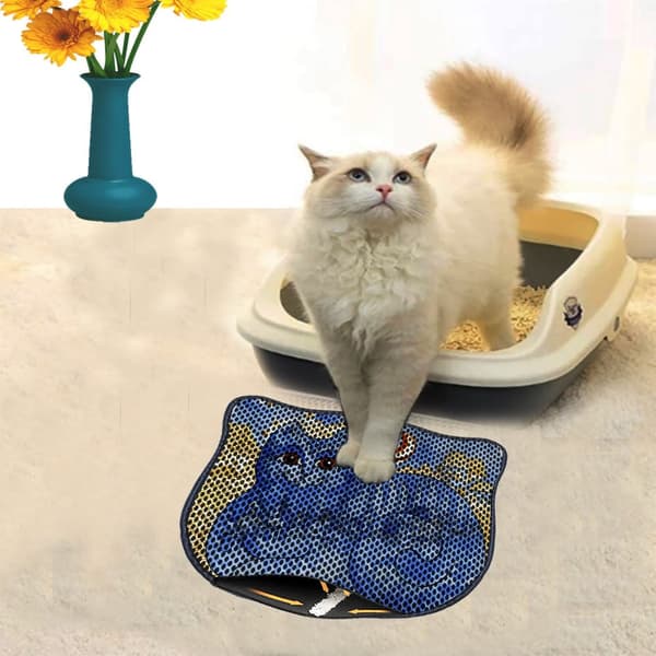 Kattebakkemåtte Kdkafa0117