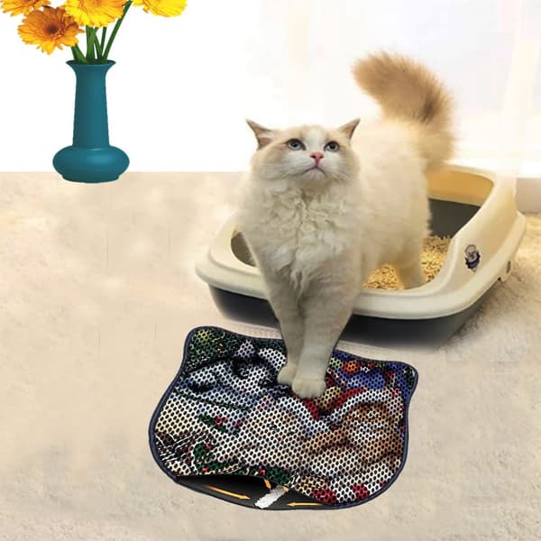 Kattebakkemåtte Kdkafa0166