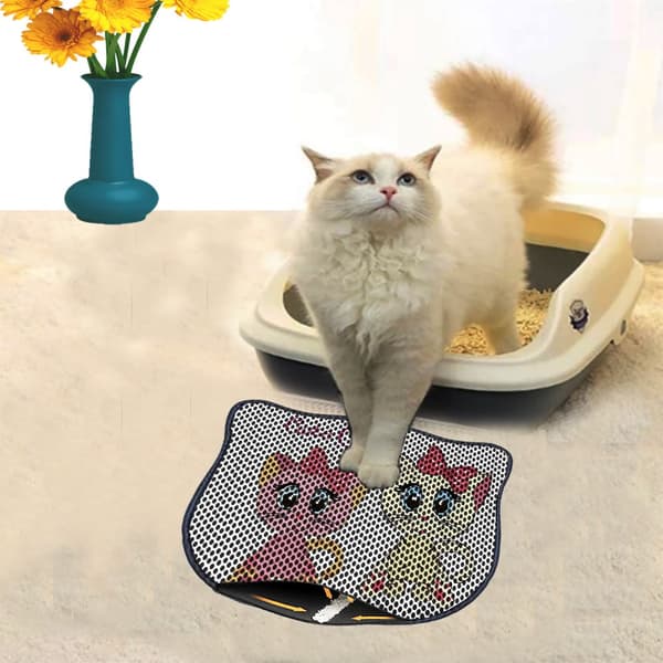 Kattebakkemåtte Kdkafa0155