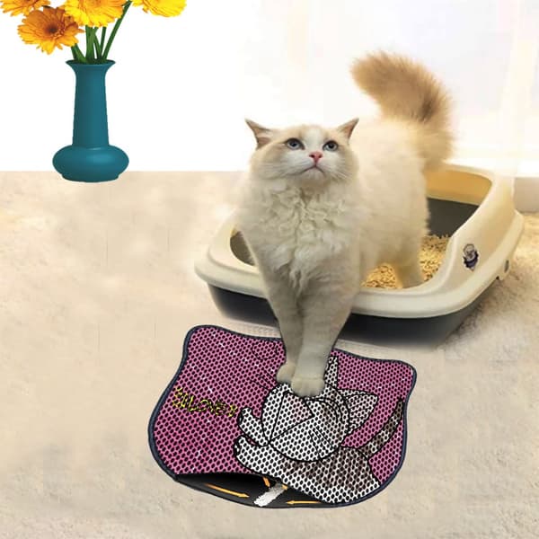 Kattebakkemåtte Kdkafa0152