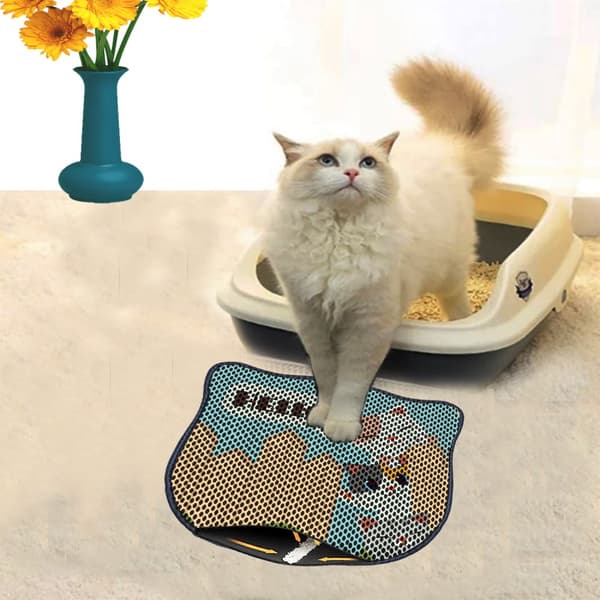 Kattebakkemåtte Kdkafa0164