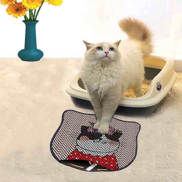 Kattebakkemåtte Kdkafa0160