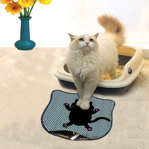 Kattebakkemåtte Kdkafa0158