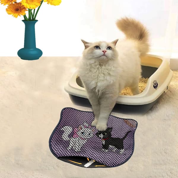 Kattebakkemåtte Kdkafa0149