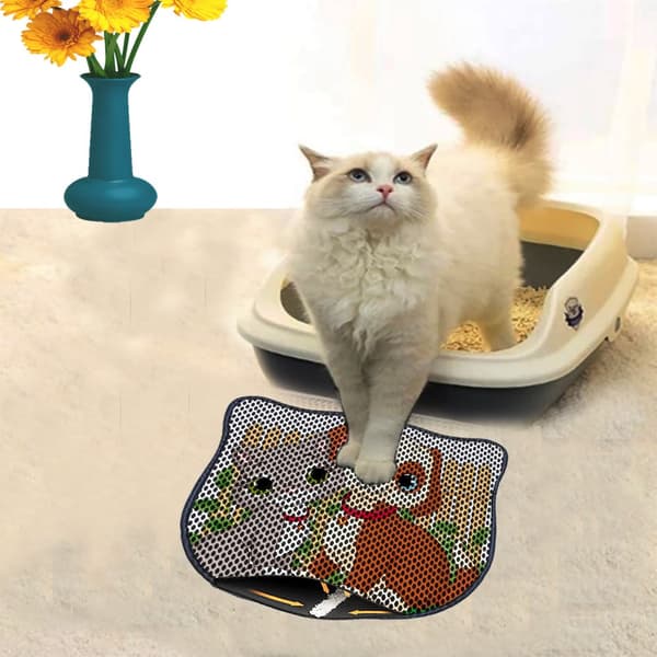 Kattebakkemåtte Kdkafa0157
