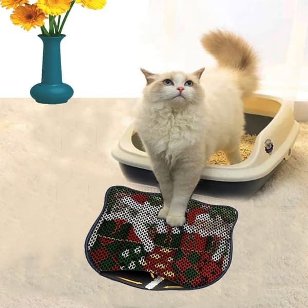 Kattebakkemåtte Kdkafa0169