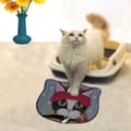 Miniatyrbild 1 av 2: Kattsand Mat Kdkafa0174