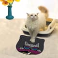 Miniatyrbillede 1 af 2: Kattebakkemåtte Kdkafa0224