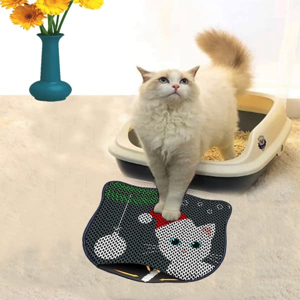 Kattebakkemåtte Kdkafa0185