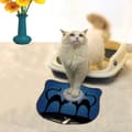 Miniatyrbillede 1 af 2: Kattebakkemåtte Kdkafa0227