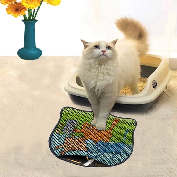 Kattebakkemåtte Kdkafa0232