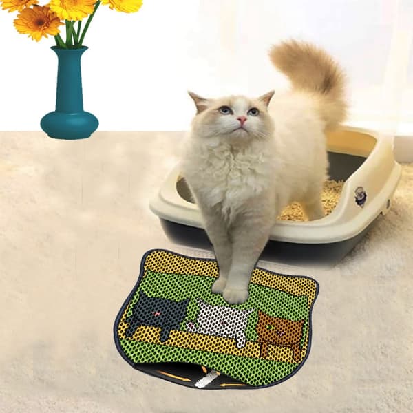 Kattebakkemåtte Kdkafa0231
