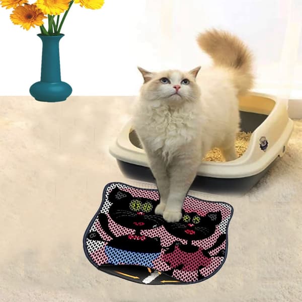 Kattebakkemåtte Kdkafa0235