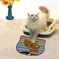 Miniatyrbild 1 av 2: Kattsand Mat Kdkafa0239