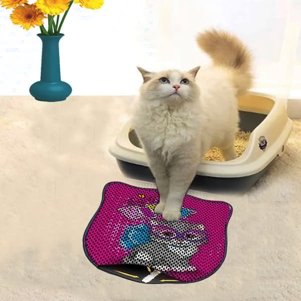 Kattebakkemåtte Kdkafa0244