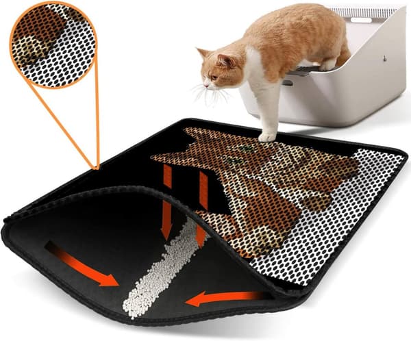 Kattebakkemåtte Nrszn0012