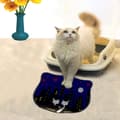 Miniatyrbillede 1 af 2: Kattebakkemåtte Kdkafa0254