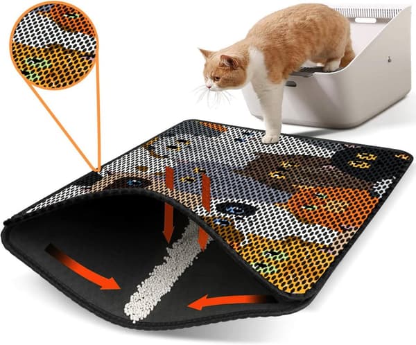 Kattebakkemåtte Nrszn0008