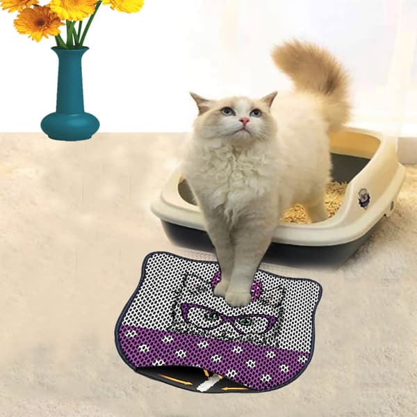 Kattebakkemåtte Kdkafa0257