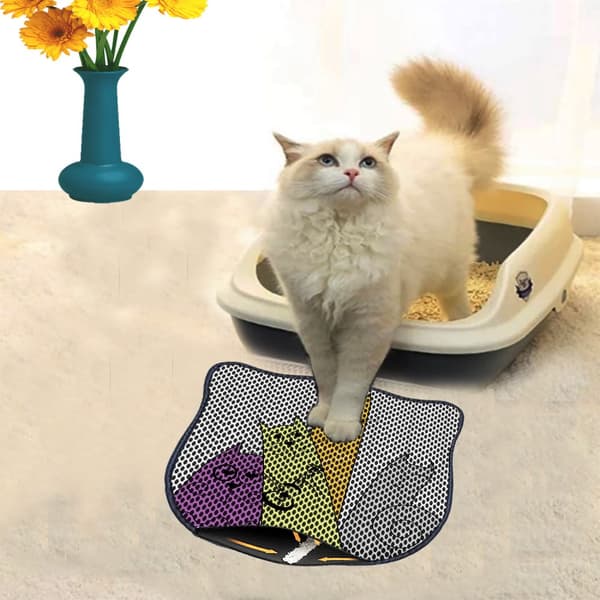Kattebakkemåtte Kdkafa0250