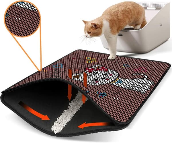 Kattebakkemåtte Nrszn0059