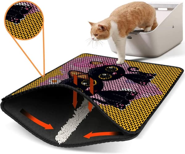 Kattebakkemåtte Nrszn0073