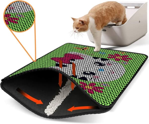 Kattebakkemåtte Nrszn0062