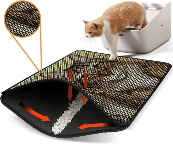 Kattebakkemåtte Nrszn0123