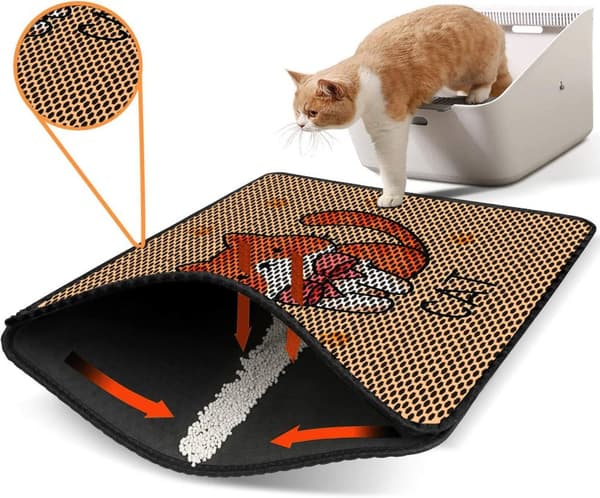 Kattebakkemåtte Nrszn0148