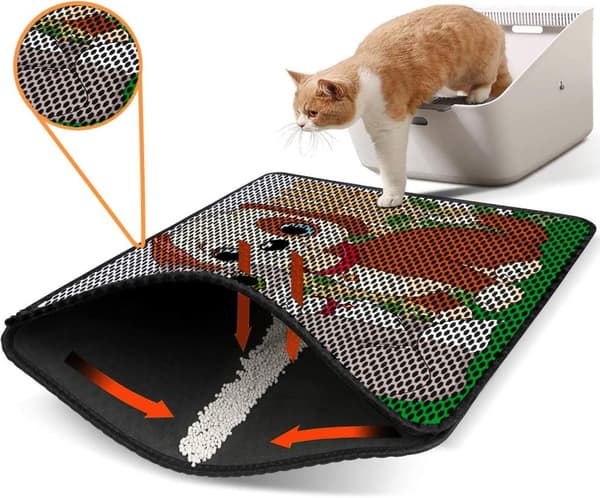 Kattebakkemåtte Nrszn0157