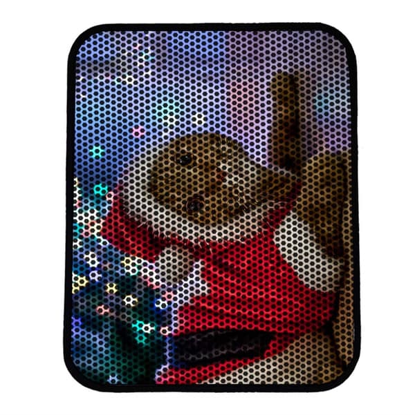 Kattsand Mat Nrszn0175