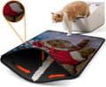 Miniatyrbild 1 av 2: Kattsand Mat Nrszn0175