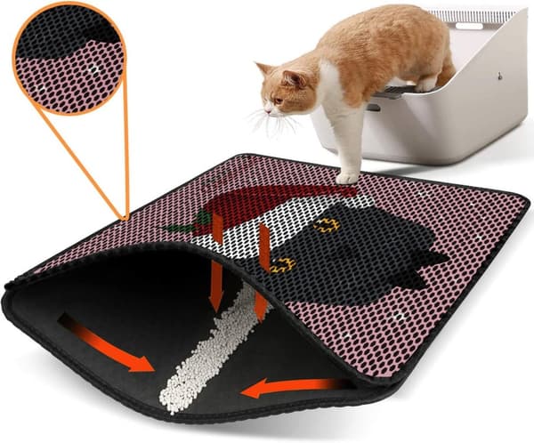 Kattebakkemåtte Nrszn0147