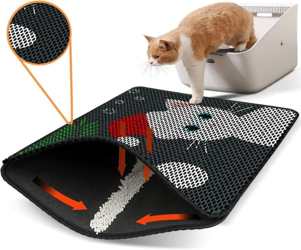 Kattebakkemåtte Nrszn0185