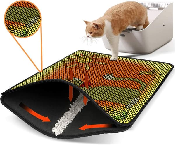 Kattebakkemåtte Nrszn0183