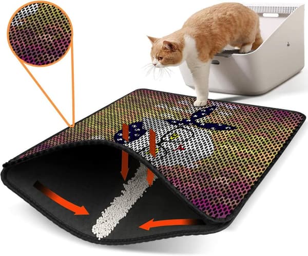 Kattebakkemåtte Nrszn0198