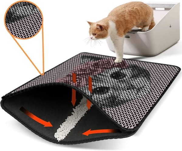 Kattebakkemåtte Nrszn0201