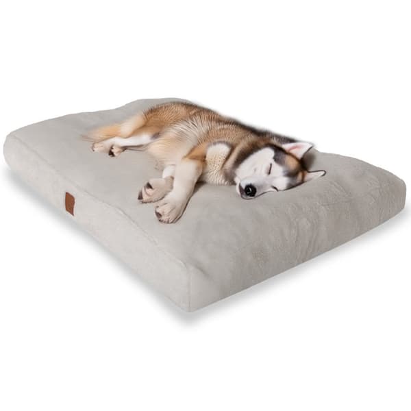 Dyreseng Max Dog L - Hvit