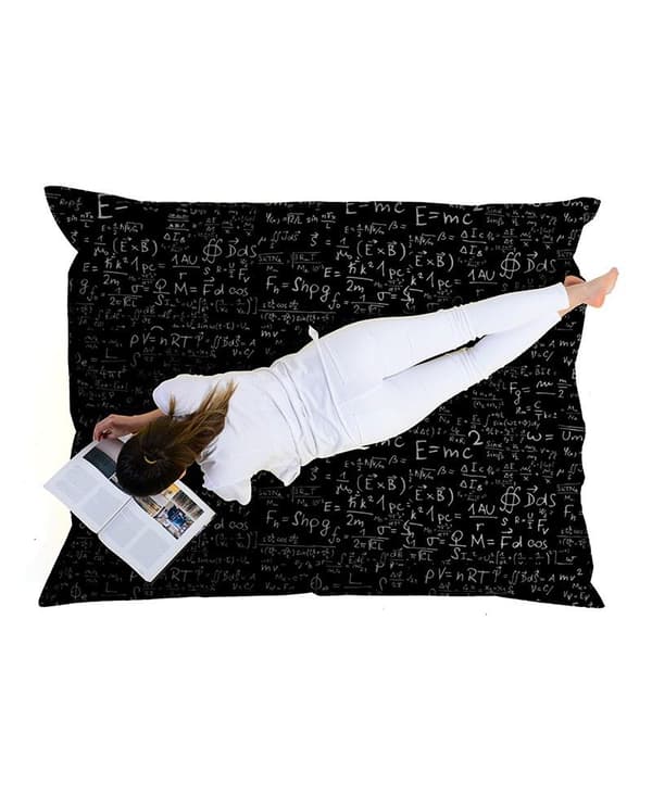 Garden Bean Bag Giant EMC2 Sort