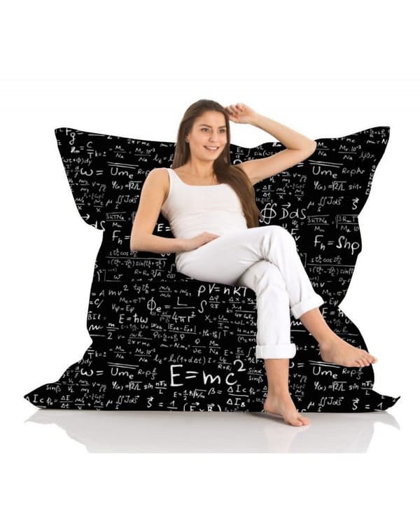 Garden Bean Bag Giant EMC2 Sort