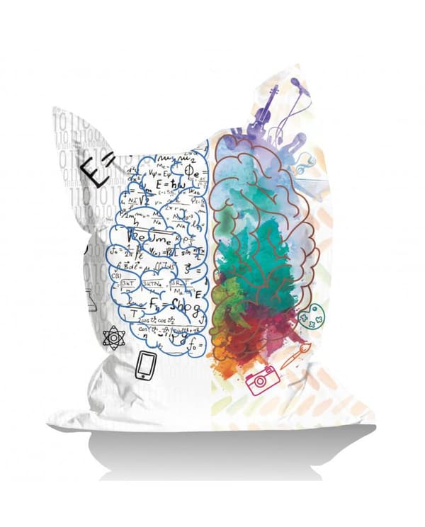 Garden Bean Bag Giant EMC2 Brain