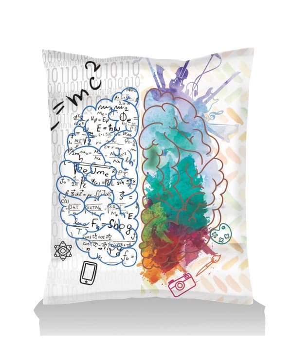 Garden Bean Bag Giant EMC2 Brain