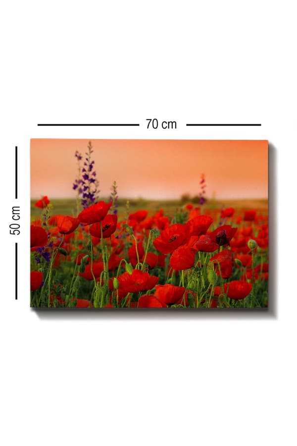 Dekorativt lerretsmaling Kanvas Tablo (50 x 70) - 1